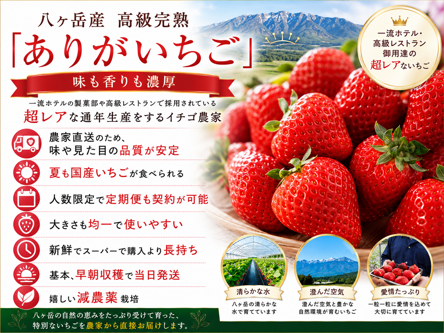 いちご　イチゴ　苺　食べ比べ　減農薬　新鮮 八ヶ岳産 完熟高級 「ありがいちご」700g（3〜4パック分） 食べ始め