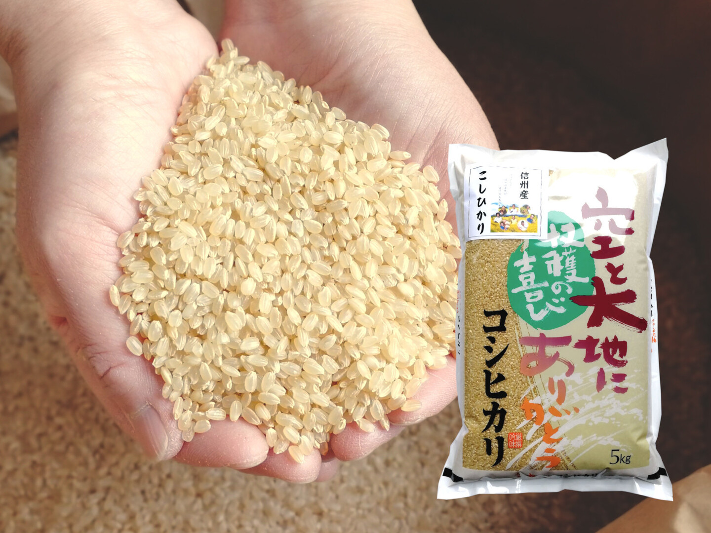 新米令和5年和歌山県産コシヒカリ玄米２０kg農家から美味しいお米送料無料 424a5ec7b39d1be4c5e7f66f00e26d