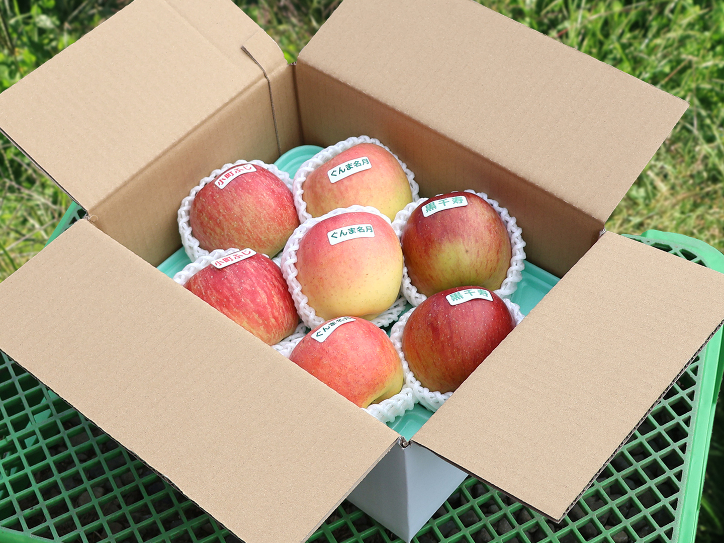 ジロー ぐんま名月傷なし7kg×2 楽天市場】ぐんま名月旬のおすすめ