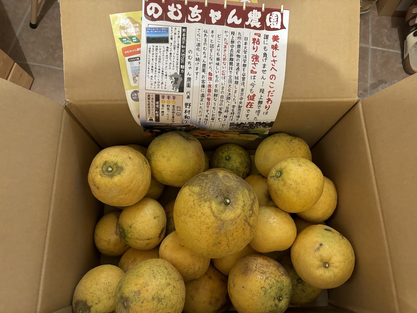 熊本発祥！果汁たっぷり！河内晩柑【ジューシーオレンジ】 訳