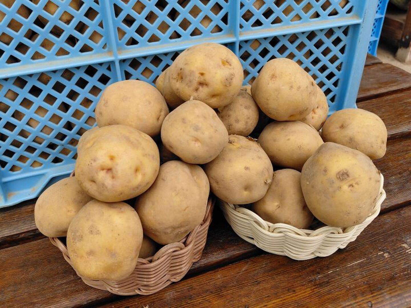 自然栽培 北海道の新じゃが きたあかり S～L混玉 10kg ホクホク甘い