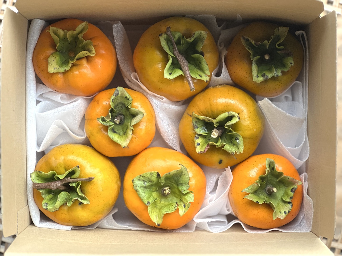 ①【ねろり】干し柿用渋柿 蜂屋柿 20kg 干し柿用！自然栽培渋柿（品種:蜂屋柿） 大玉 10玉 約2.5kg：福島県産