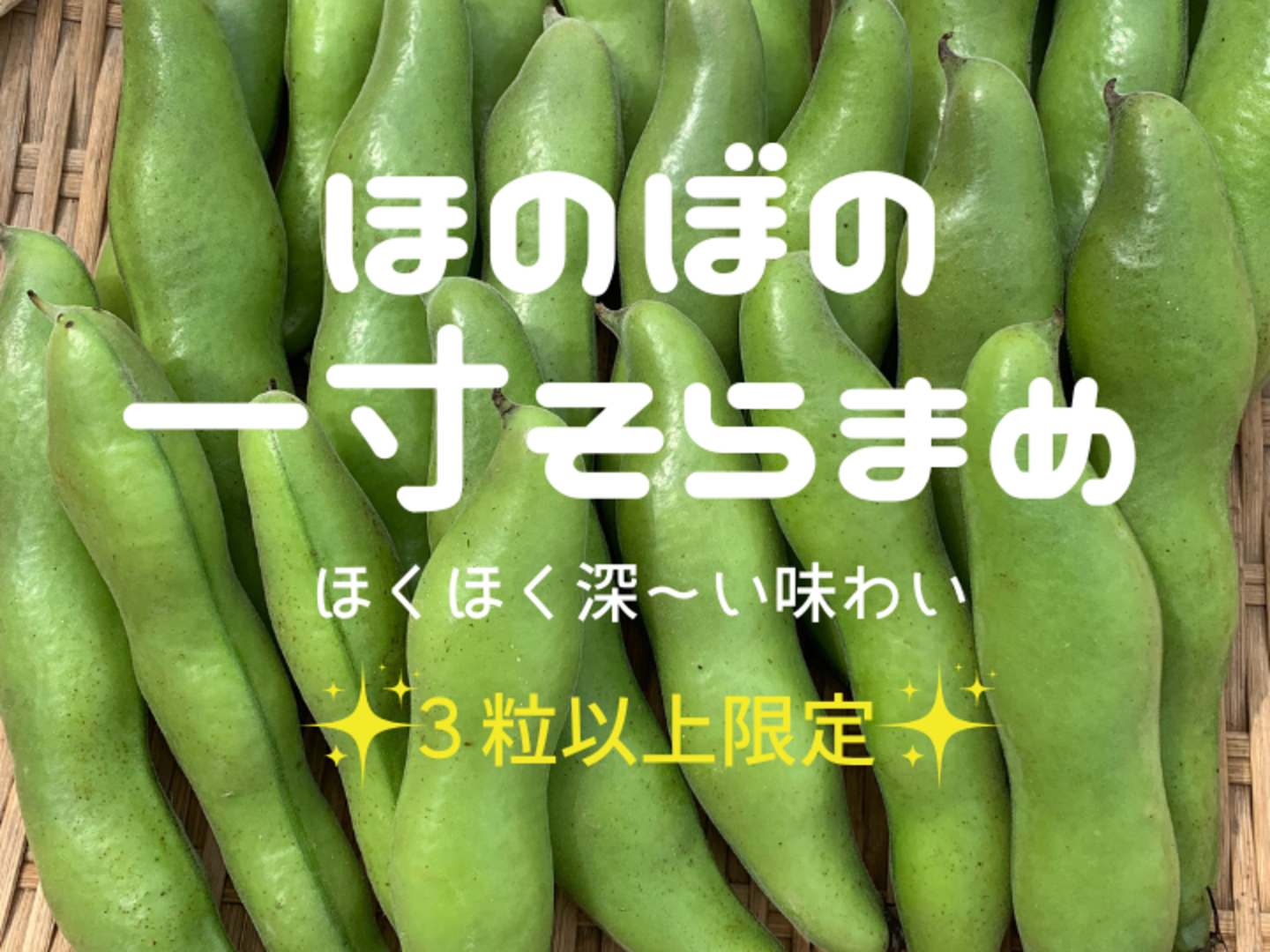 ✨3粒以上限定✨朝穫れ❗5㎏「そら豆（さや付き）」5月上旬