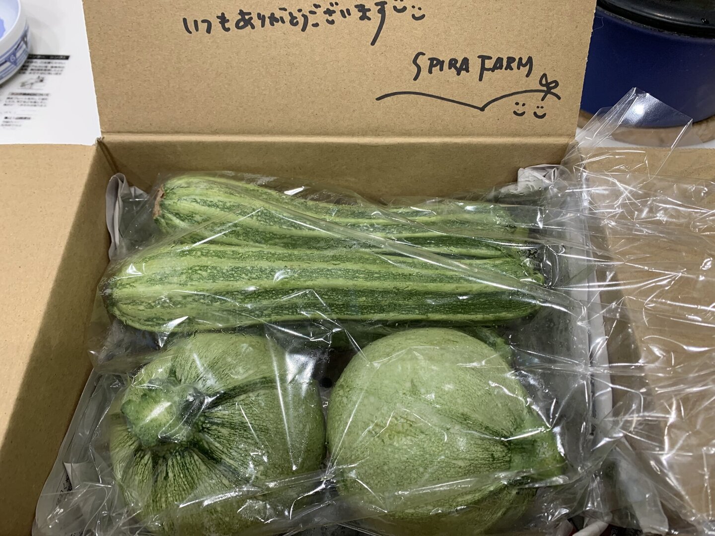 ホクッとジューシー！見た目もかわいいイタリアンズッキーニ