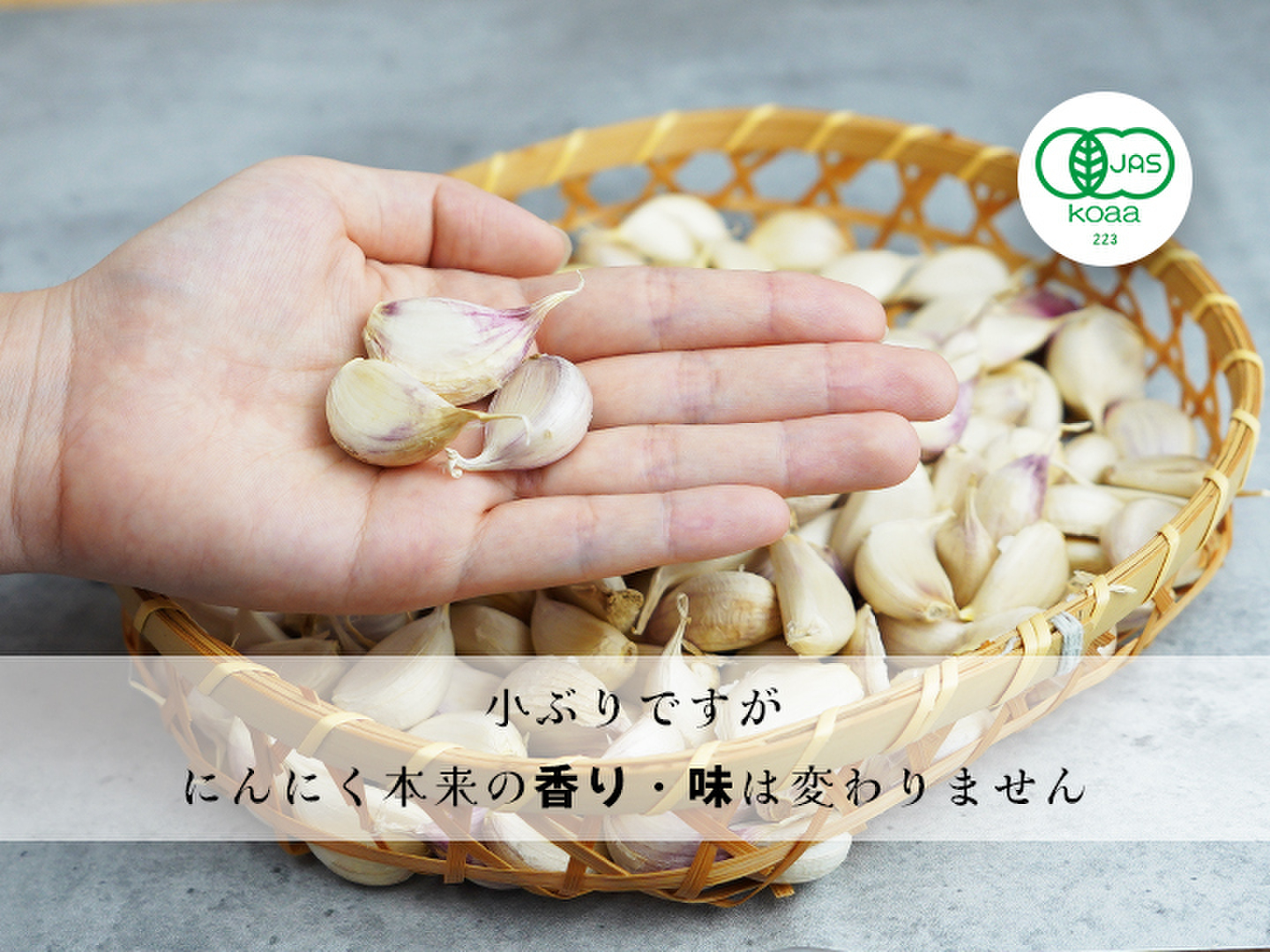 有機バラにんにく300g入】【宮崎県産】 2025年令和7年度産有機