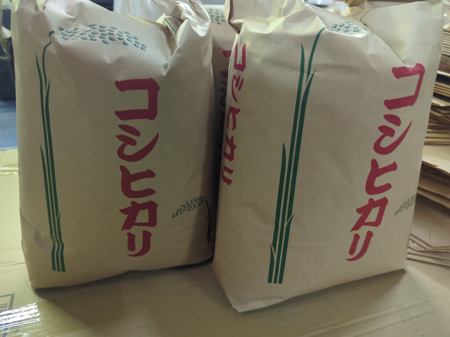 【玄米10kg】農家直送！美味しいお米！埼玉県産コシヒカリ！ コシヒカリ 令和8年新米10キロ玄米直送：埼玉県産のお米｜食べチョク