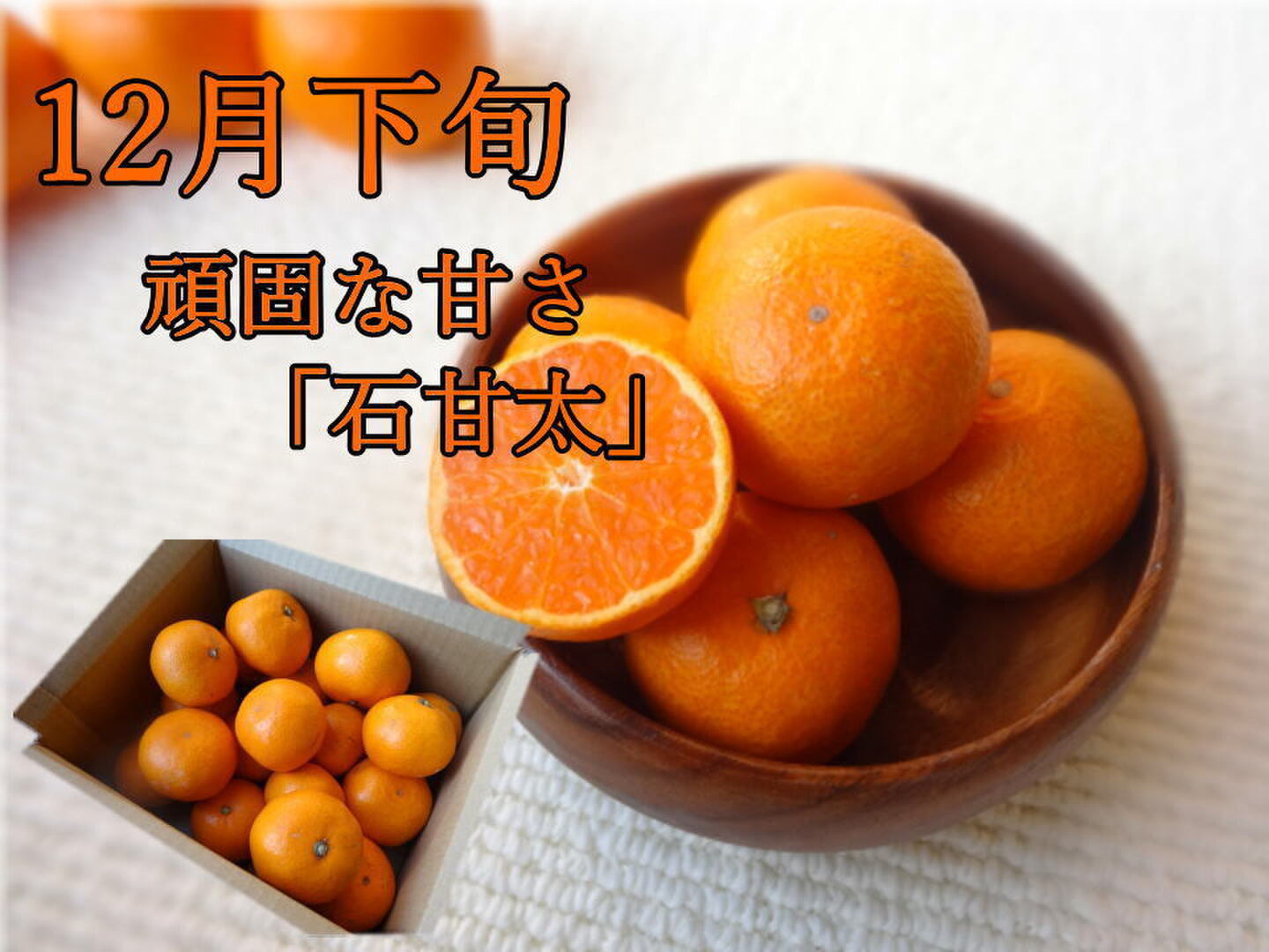 みかん三様 専用（みかん様専用 1箱）