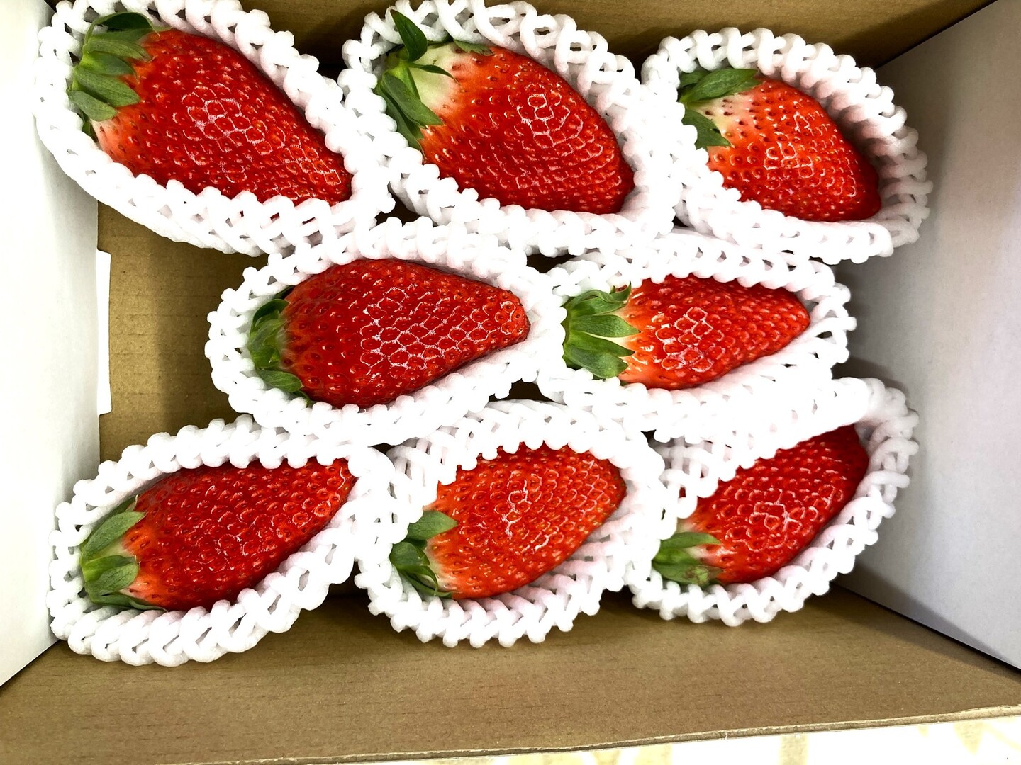 いちご 章姫30株雪桜10株￼えびすさん専￼用 いちご 章姫30株雪桜10株￼えびすさん専￼用 静岡