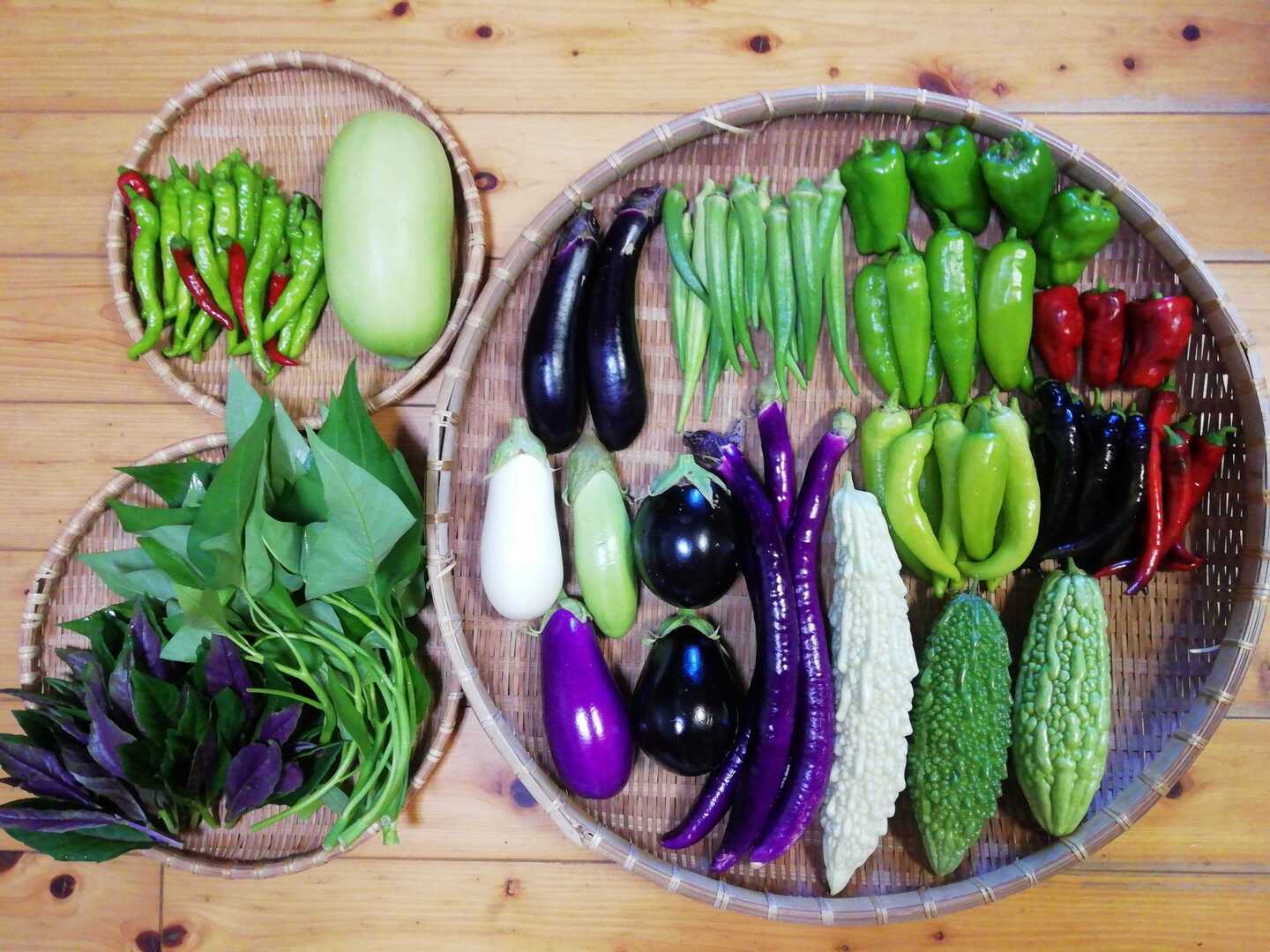 農薬化学肥料不使用】おまかせ野菜セット【8種類以上の野菜】【金曜日