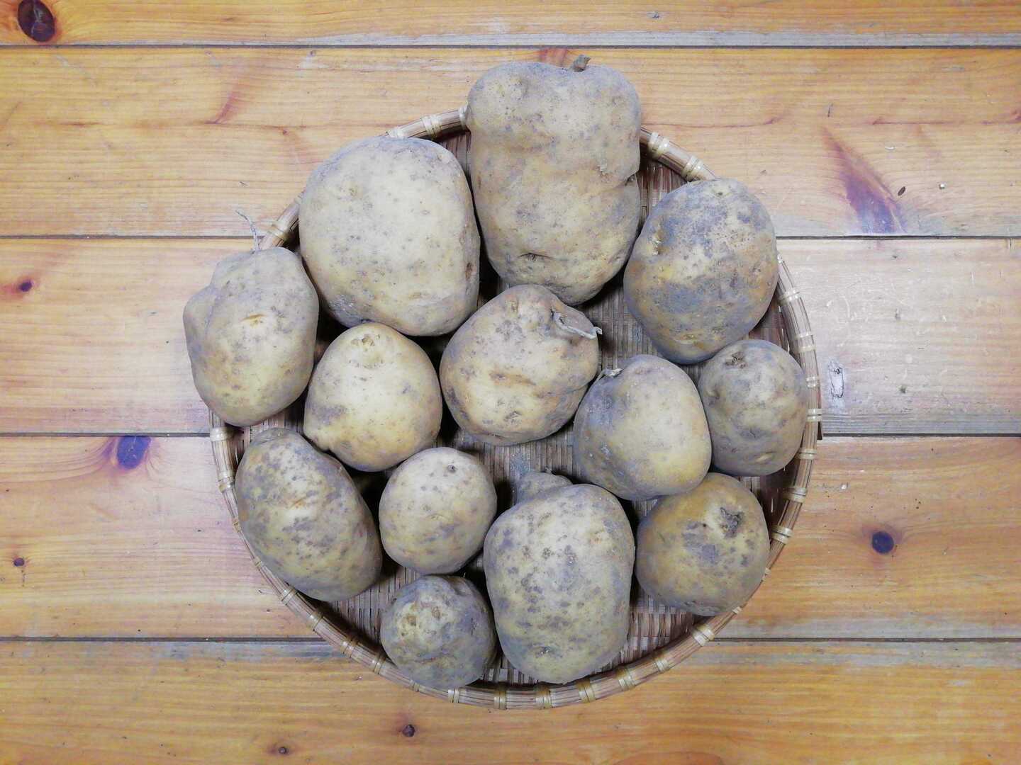 大山山麓栽培期間中農薬化学肥料ジャガイモ6kg送料込 ジャガイモ(デジマ)2.5～3㎏程度【農薬化学肥料不使用