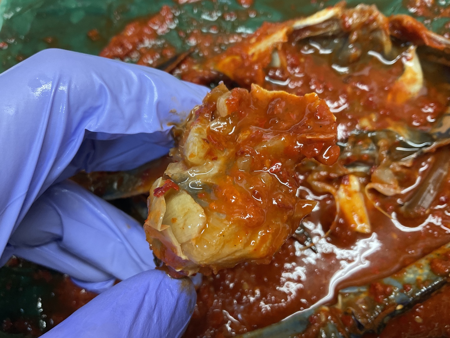 99513c8bae60ed54856df44f96fc11