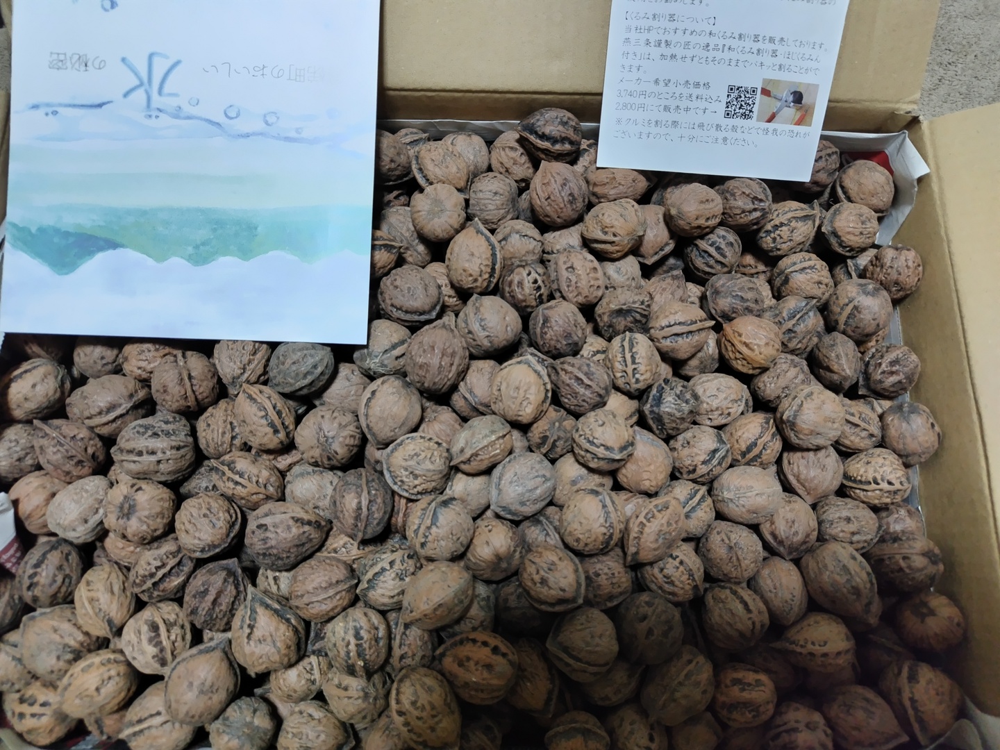 会津産の鬼ぐるみ【大盛り4キロ】老舗菓子店愛用！美容と健康に