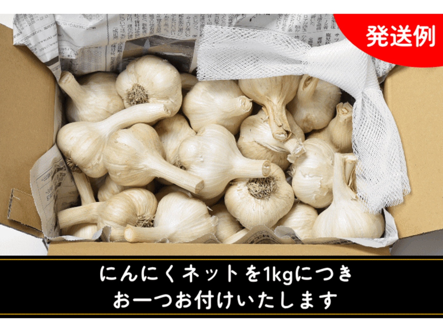 楽天市場】青森にんにく A品 Lサイズ 1kg～10kg 国産 福地