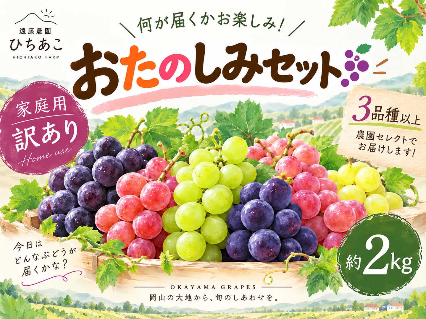 🍇数量限定🍇訳あり3品種【おまかせ2kg・家庭用】岡山県産／種なし