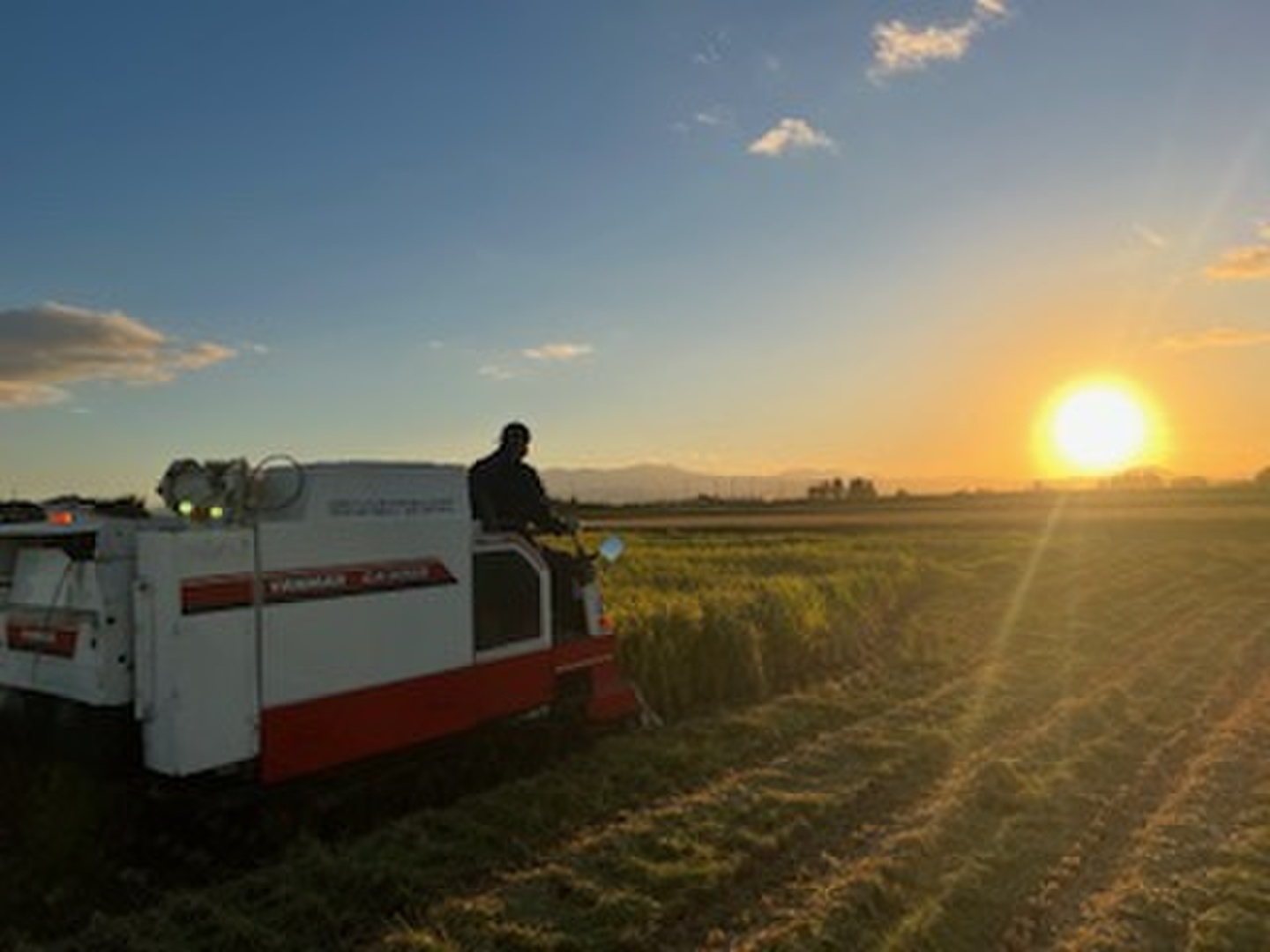 新米 令和7年産 【世界農業遺産】宮城県大崎市産 ひとめぼれ【精米