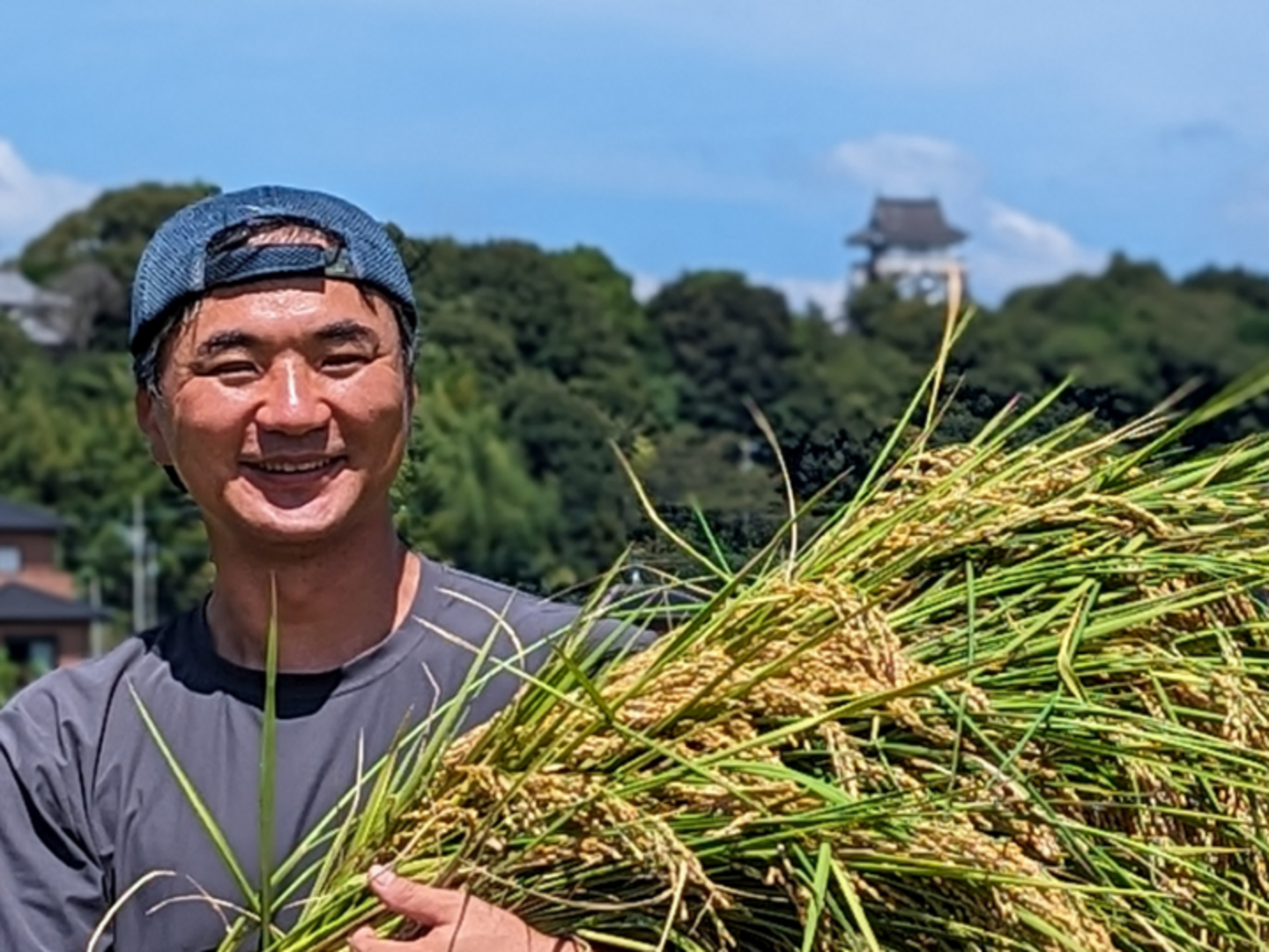 R5:にじのきらめき玄米9kg（農薬不使用栽培）：静岡県産のにじの