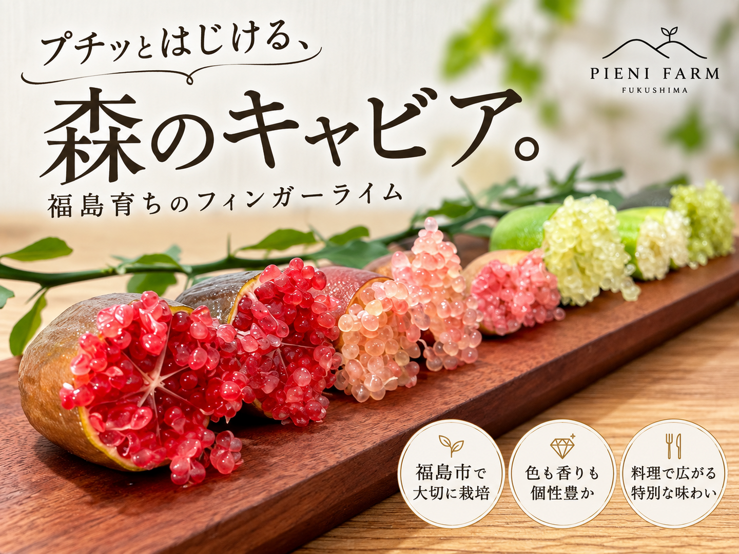 旬の2〜3品種を食べ比べ】プチッとはじける森のキャビア｜福島産