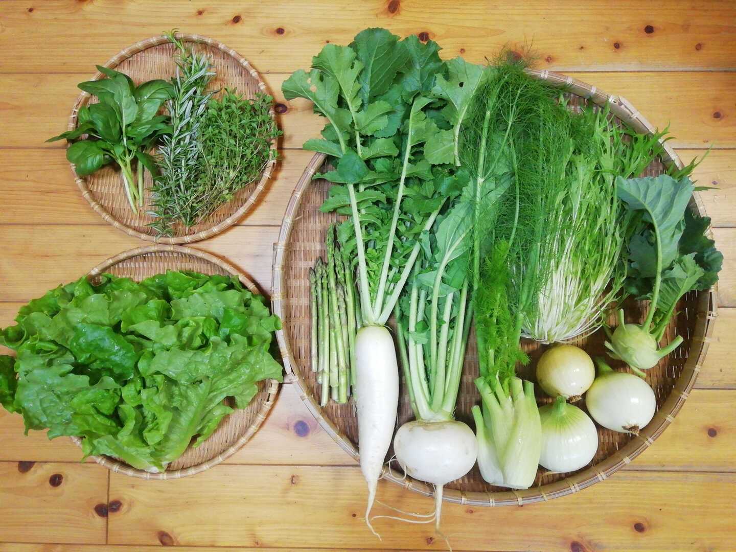 50%OFF 農薬化学肥料不使用】新タマネギ入り野菜セット【8種類以上の 野菜