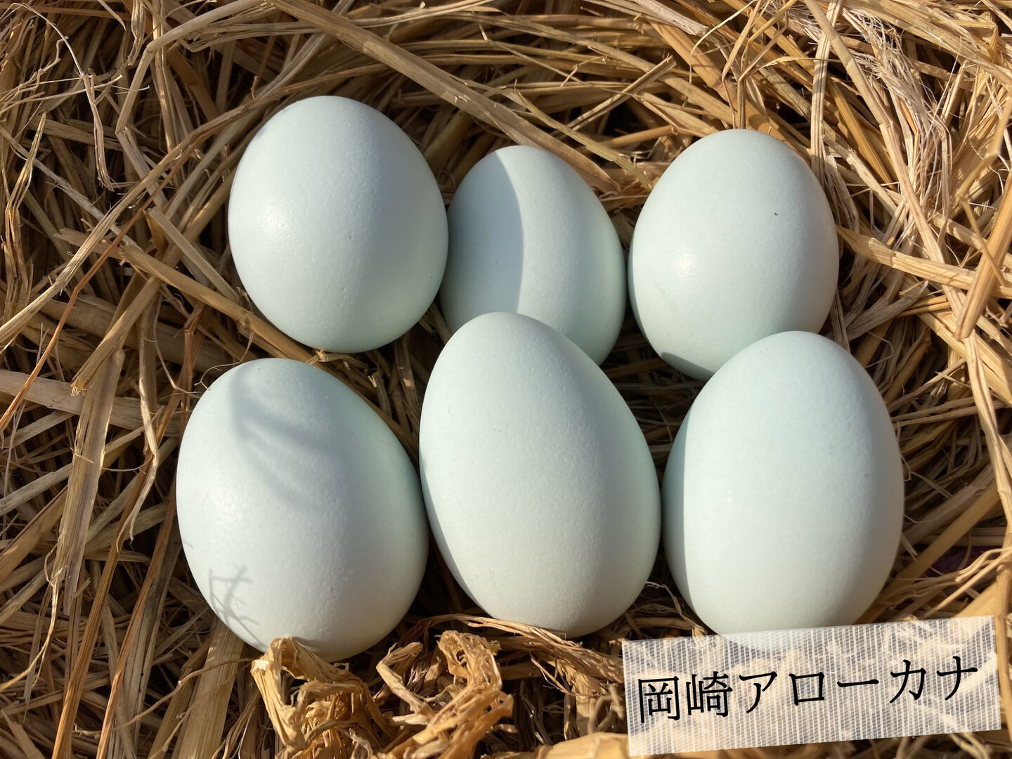 平飼い卵 母の日ギフト 【4パックセット】223EGG たまご：静岡県