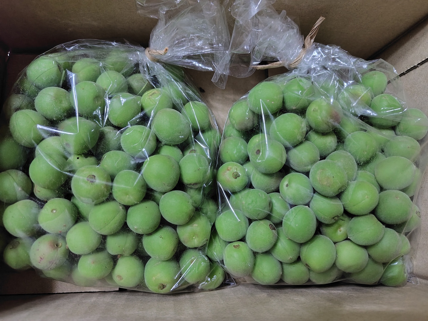 竜峡小梅 青梅 8kg 無農薬 岡山県産 農家直送 竜峡小梅 8kg 無農薬 岡山県産 農家直送 - メルカリ