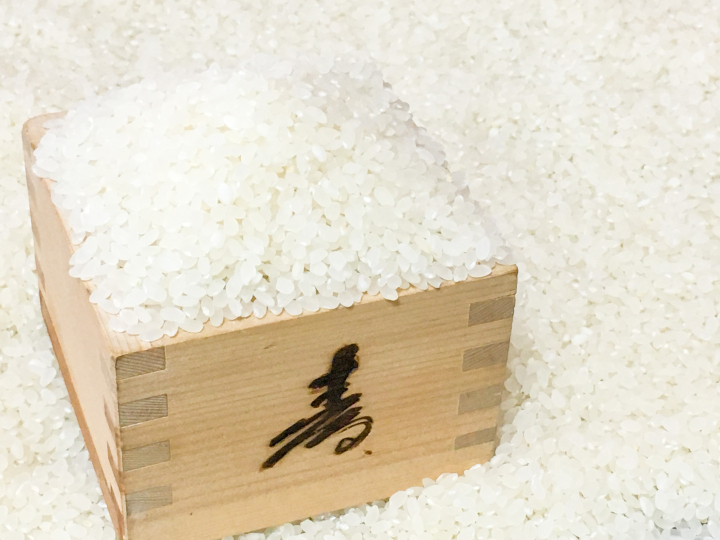 令和6年産 京都丹後コシヒカリ 10kg：京都府産のお米｜食べ