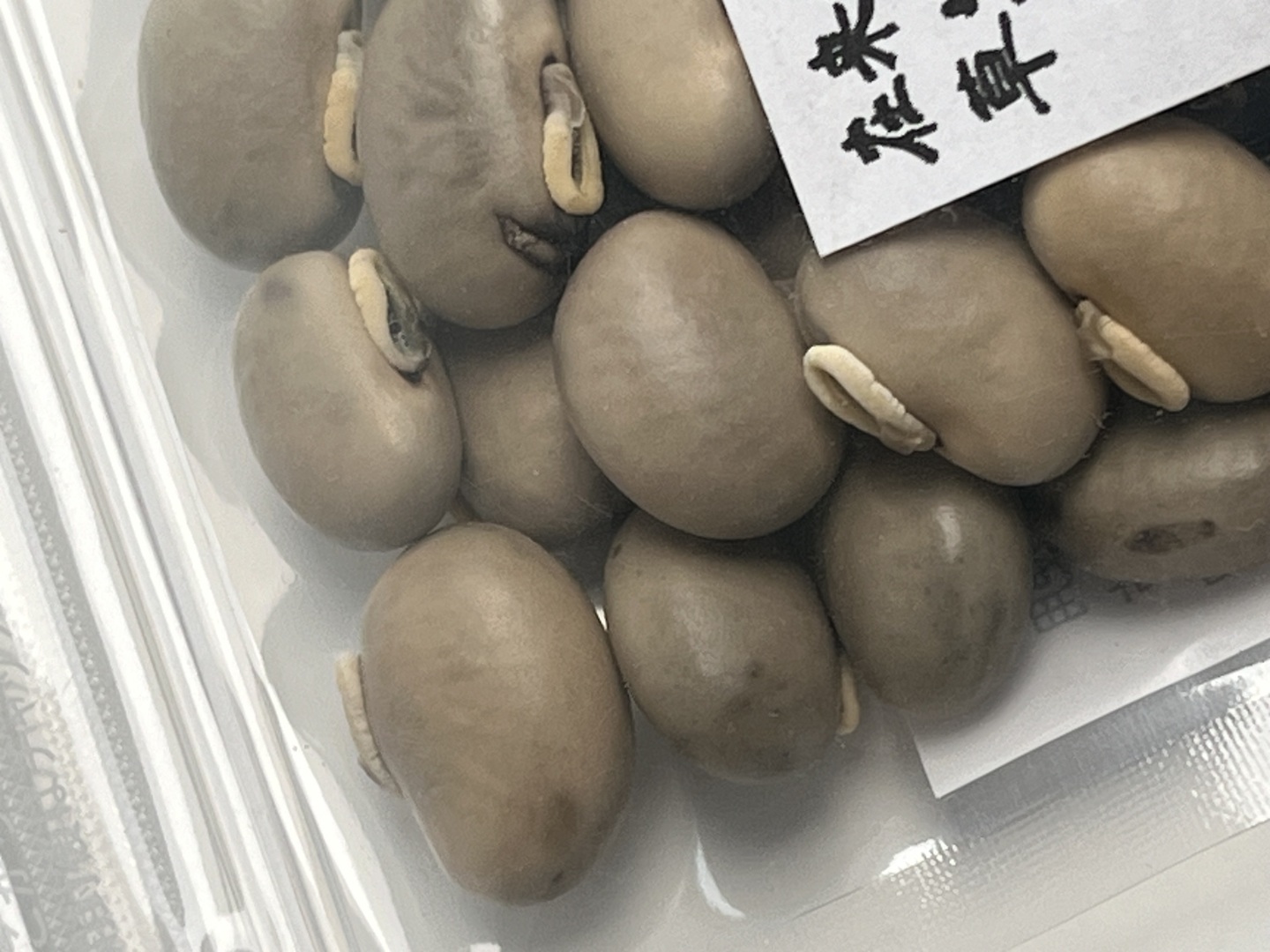 岡山産ムクナ豆15kg専用出品です！ R様専用 ムクナ豆 自然栽培：神奈川県産の米・穀類｜食べチョク