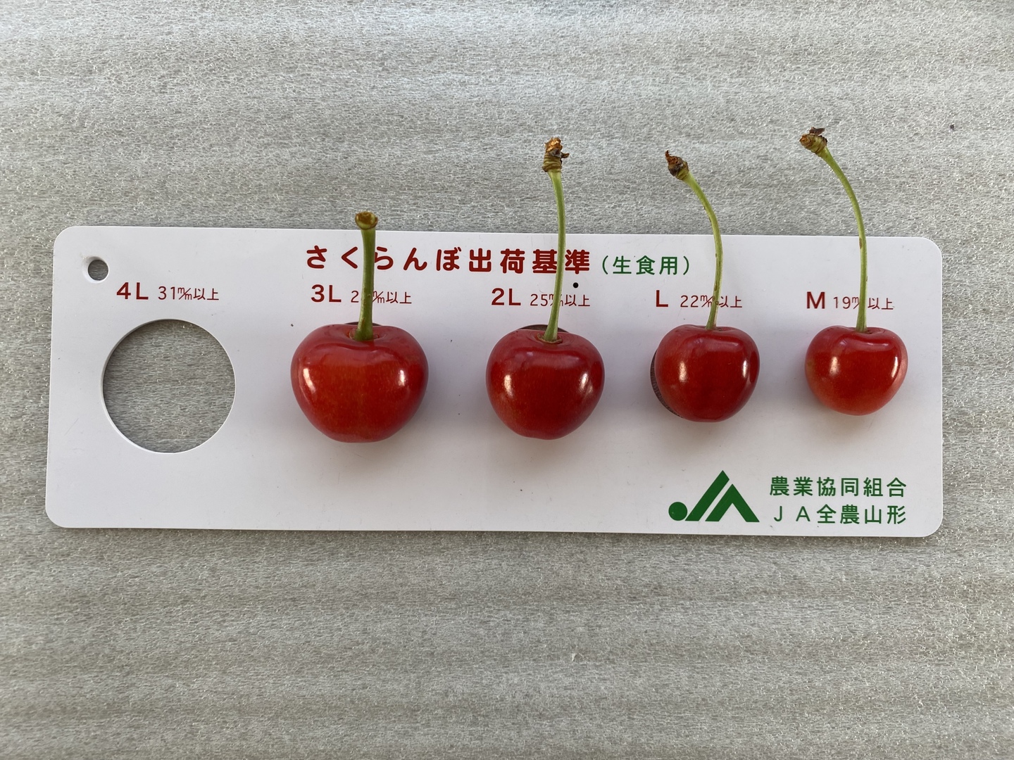 ヒロキ さくらんぼ 特秀 1kg ヒロキ さくらんぼ 特秀 1kg 楽天市場】糖度24度 減農薬 山形 紅