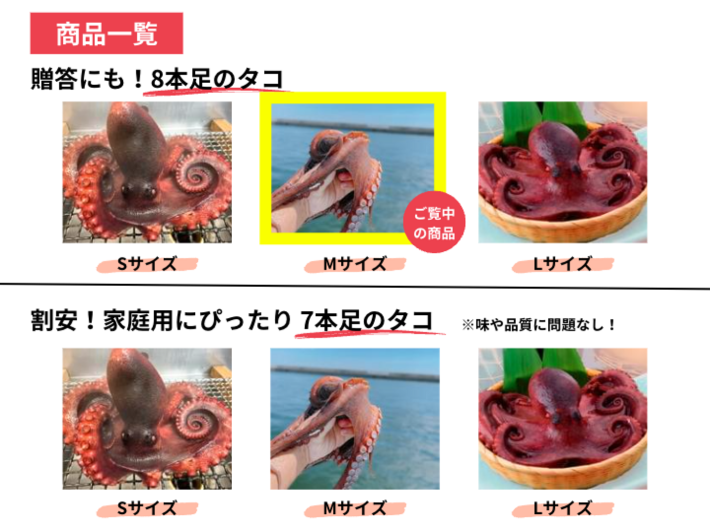 累計800件突破！】香りまで旨い 日間賀島産たこ Mサイズ：愛知県