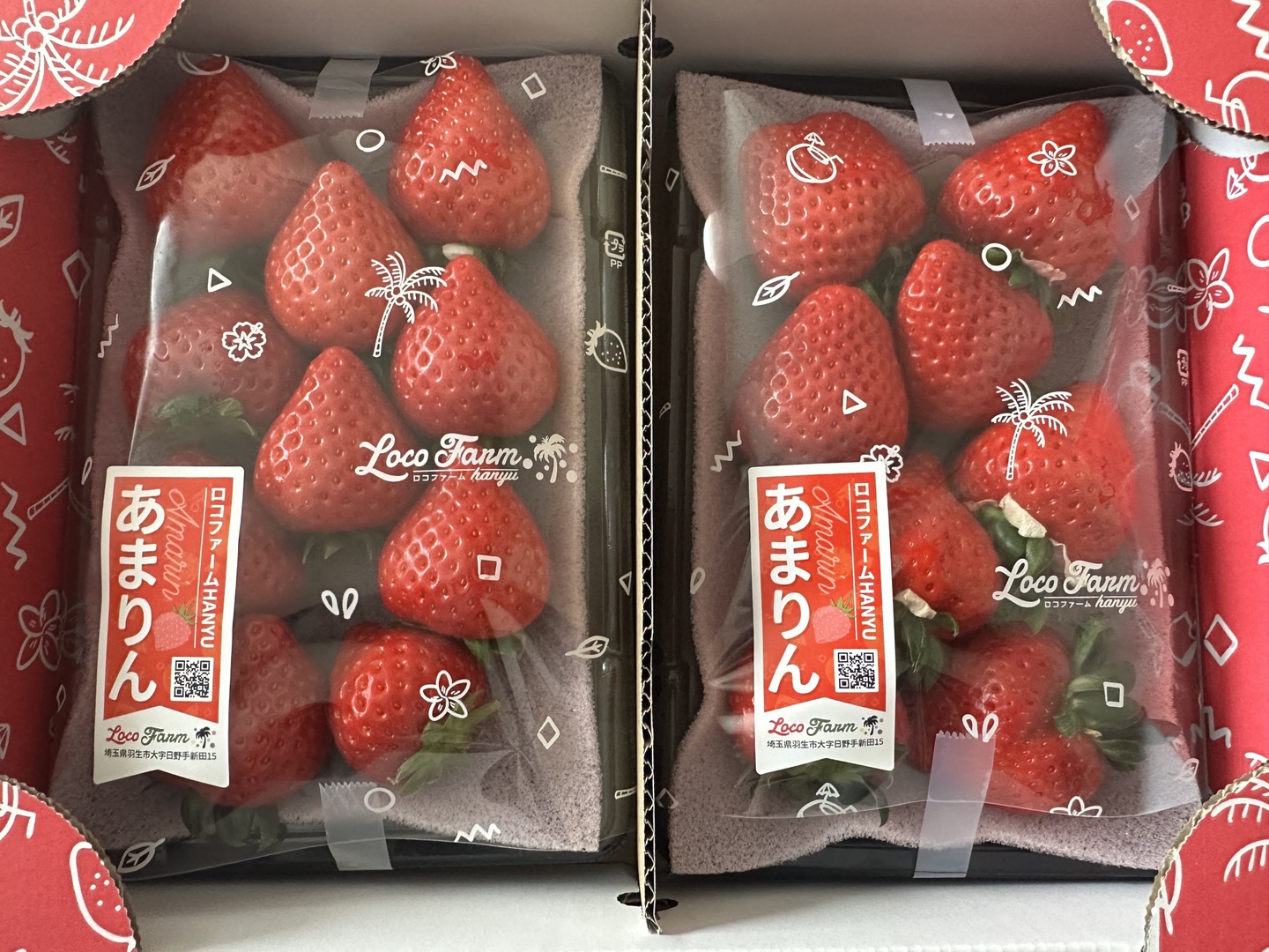 完熟プレミアムいちご】あまりん250g×2パックーDXパックー