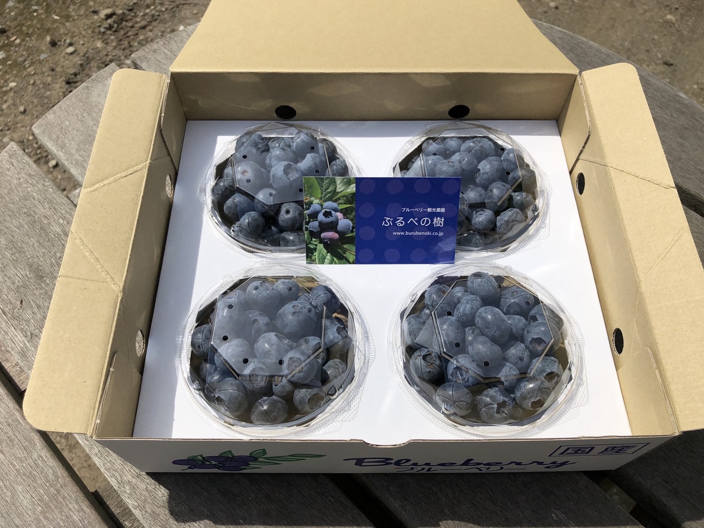 完熟　生ブルーベリー　250g×4パック 本日限定！【小～中粒お得パック！完熟ブルーベリー】250g×4