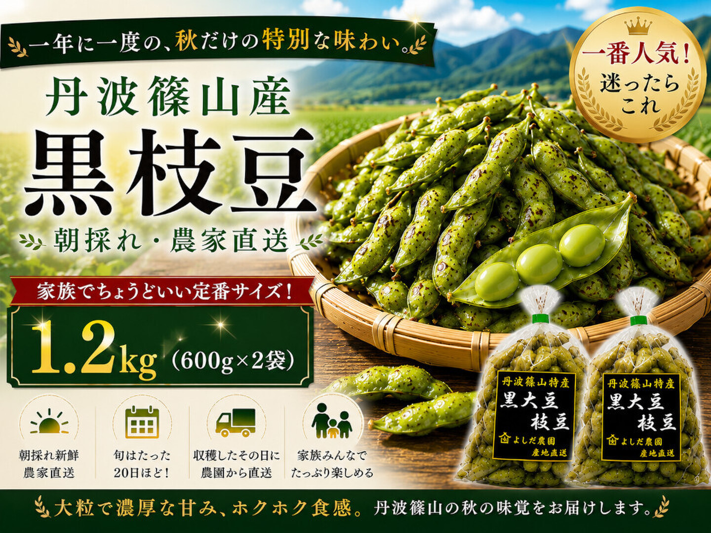 令和8年黒枝豆・予約販売】 丹波篠山 黒枝豆 1.2kg( 600g × 2袋 ) 産地