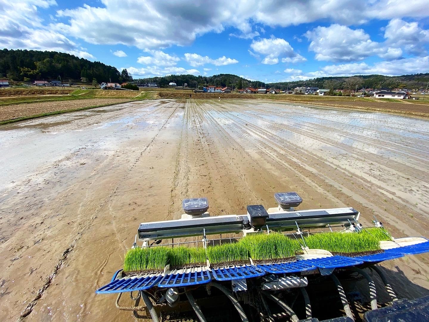 令和6年新米】ミルキークイーン 玄米30㎏（10㎏×3袋）：広島