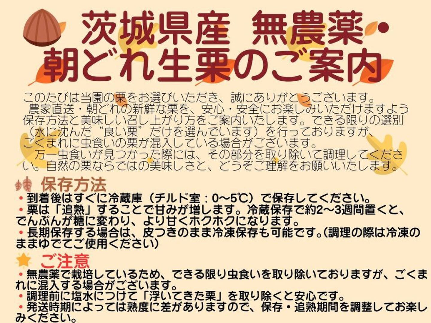 茨城県産 栗の王様「利平栗」4L1kg+α 初出店 感謝価格 数量限定