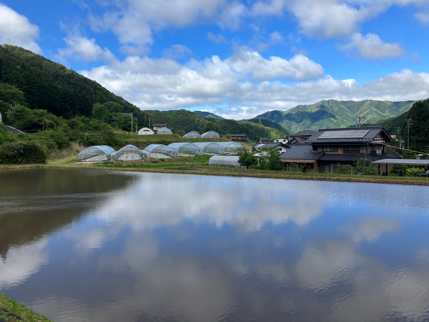 有機JAS】真夏の宝石箱 ミニトマトMIX 1キロ：岐阜県産のトマト