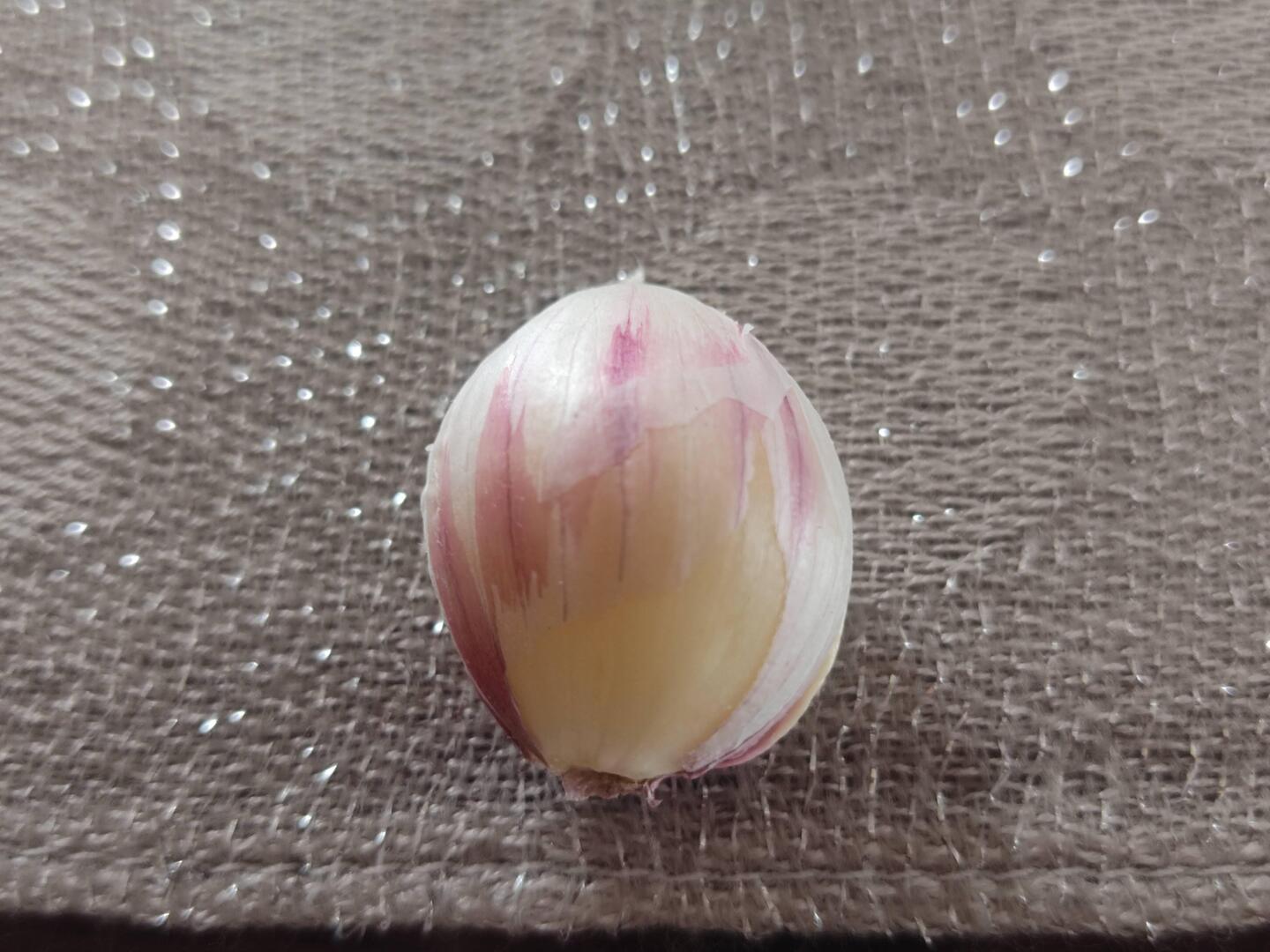 ✨🧄【希少・香り高い】紫ニンニク 計1kg🍳イタリアンやアヒージョに