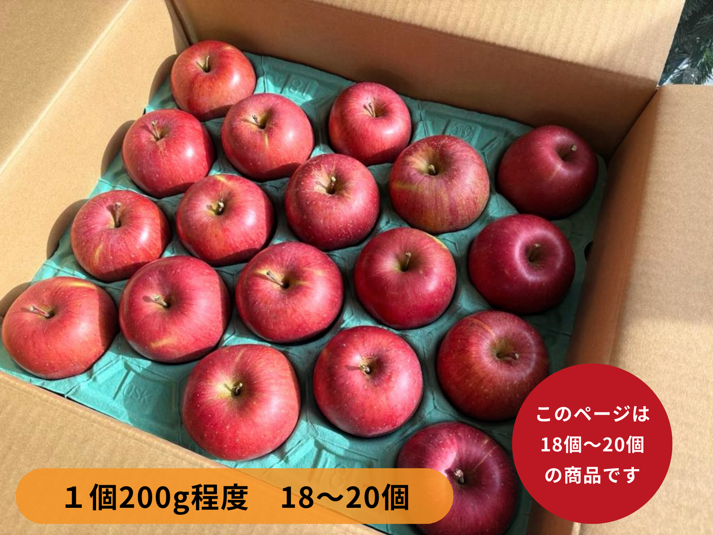 希少な海街の老木りんご（5kg 18〜20個入）品種：ふじ｜人気の品種