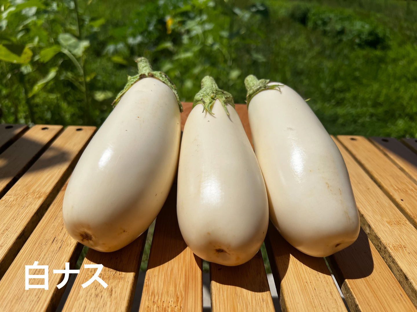 なす｜商品情報｜やまう株式会社
