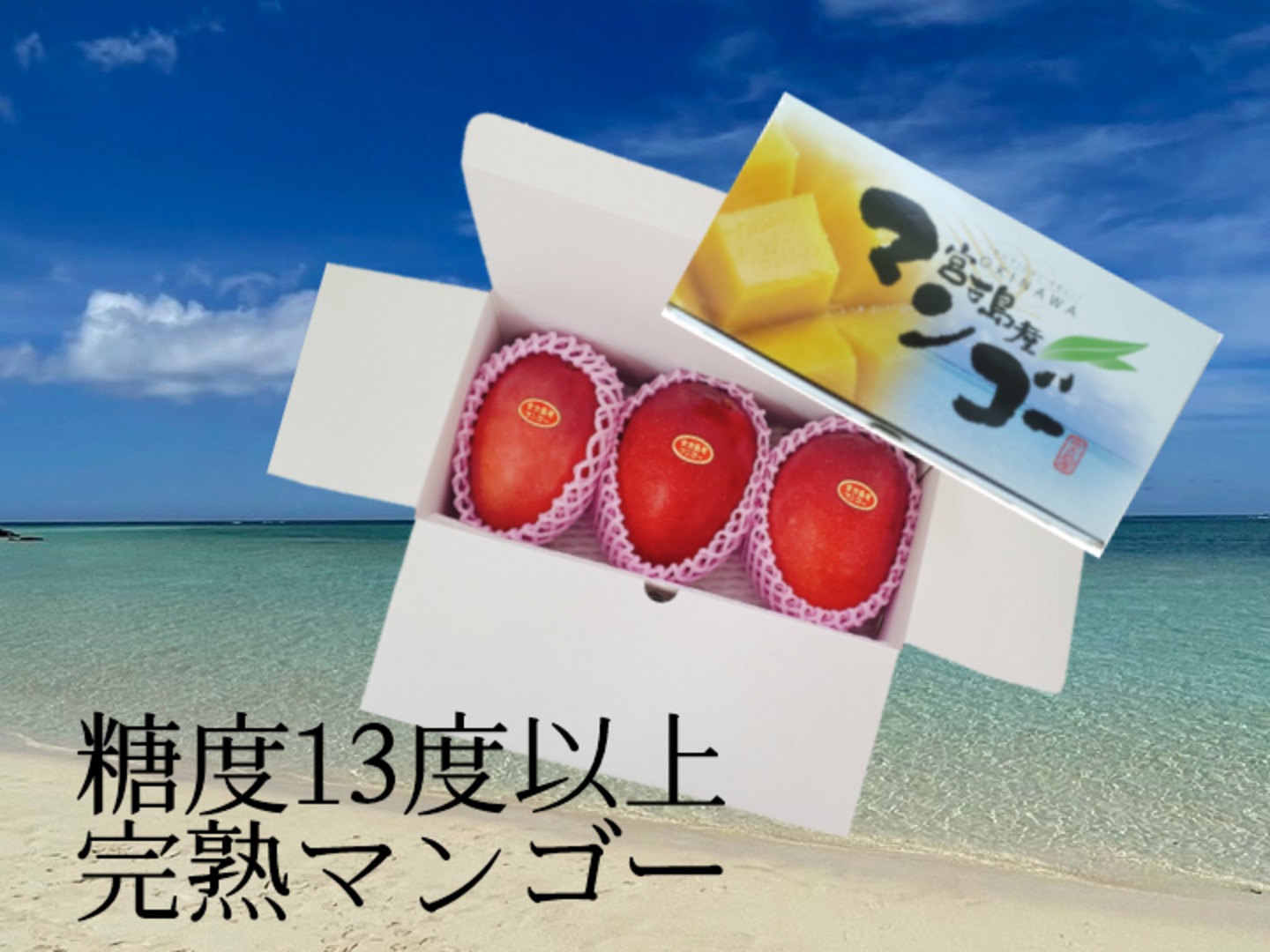 優秀品】人気！宮古島産完熟マンゴー1㎏(2～3玉) 贈答品、夏