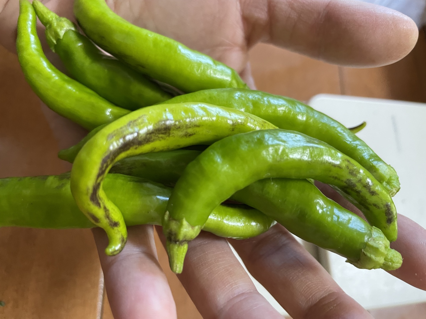 訳あり 傷はあるけど見かけが訳ありなだけの手作り柚子胡椒セット100g