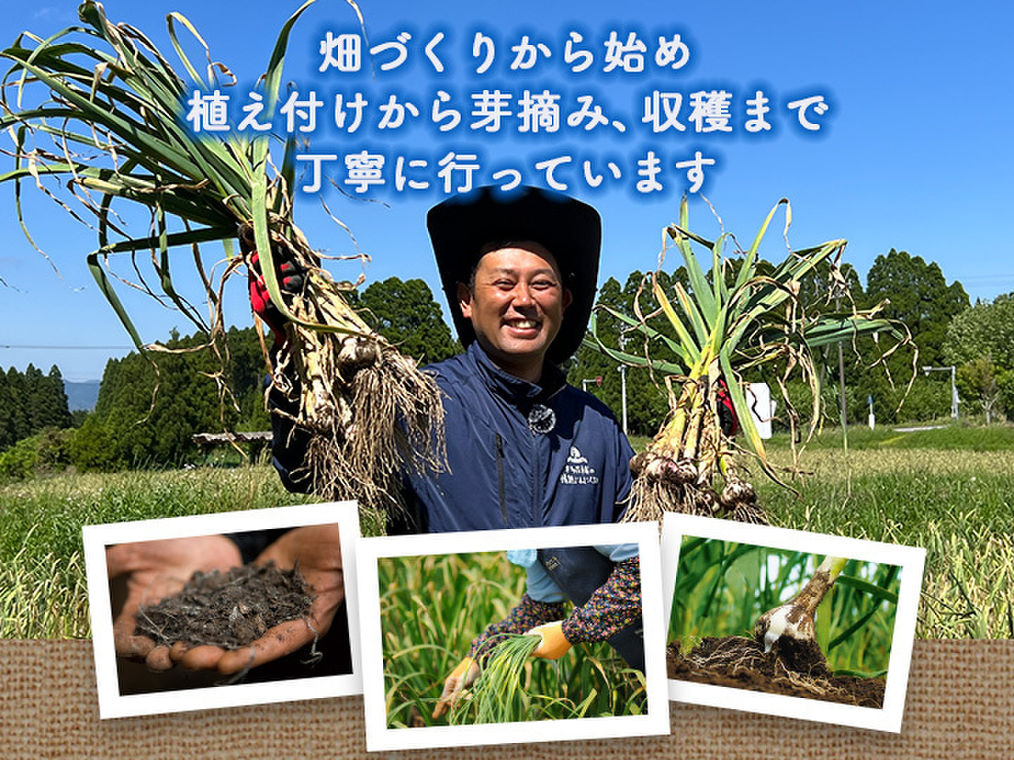 令和7年　大分県産　にんにく　Sサイズ混合　10キロ imgrc0101485712.jpg