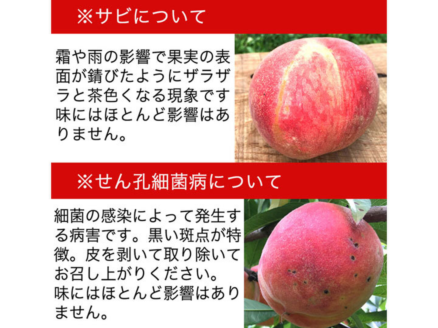 b36ff0d5fa6301e7d59d27ae69a8a6
