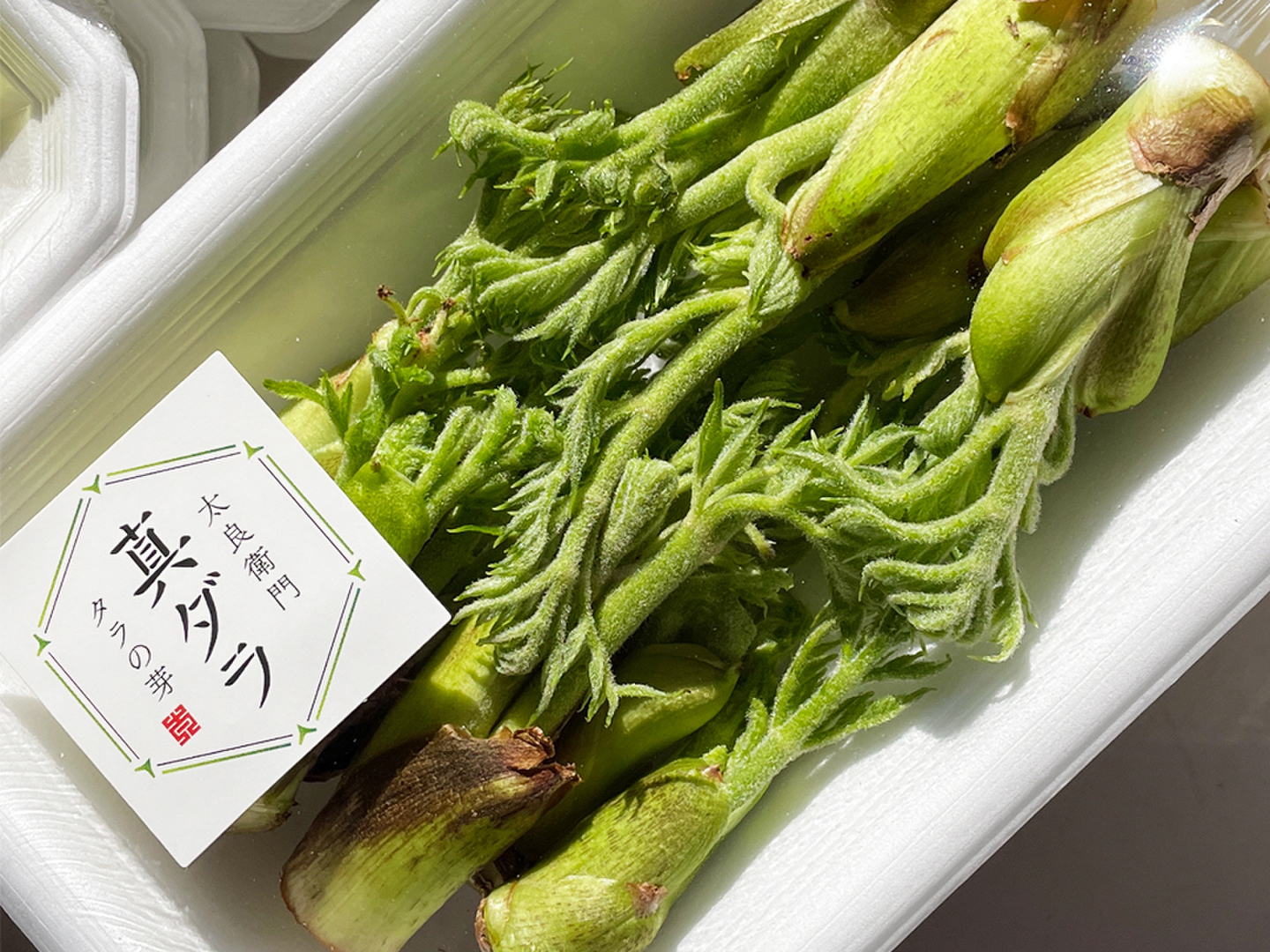 たらのめ 楽天市場】たらの芽〈タラノメ〉タラメ たらめ1パック、50g前後