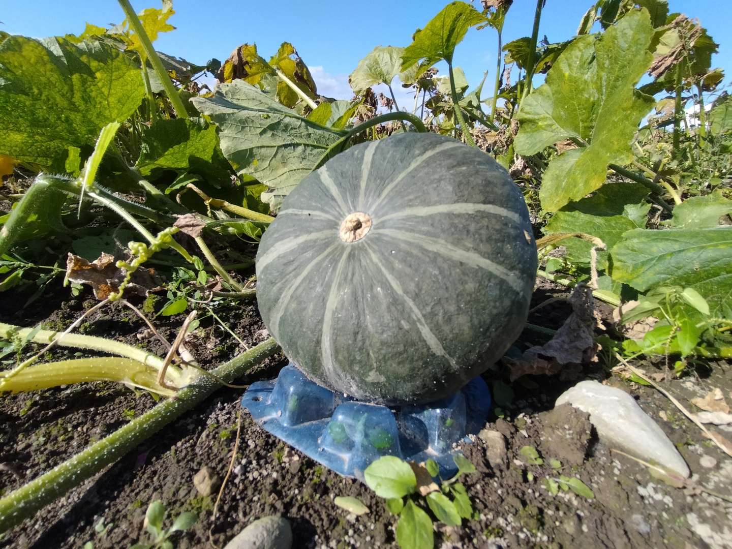 b445f5a0731b7d75309f0d1d25d75e