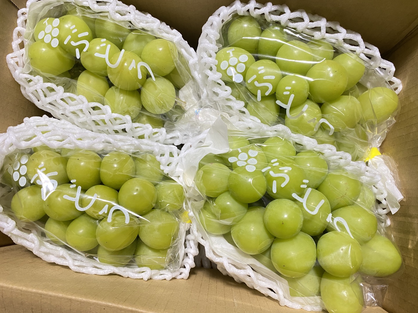 長野県産『シャインマスカット』家庭用 2kg以上(4〜5房) 発送9月中旬