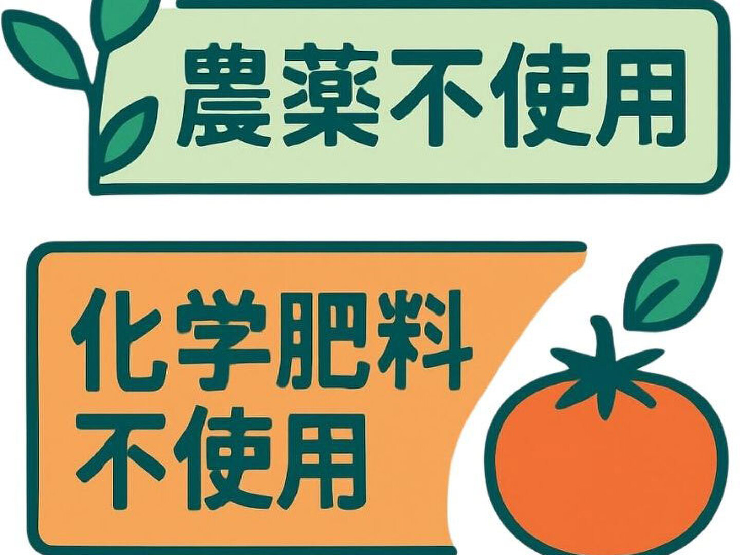 農薬・化学肥料不使用『アイコ ミニトマト1kg（250g×4）』南房総の農家 