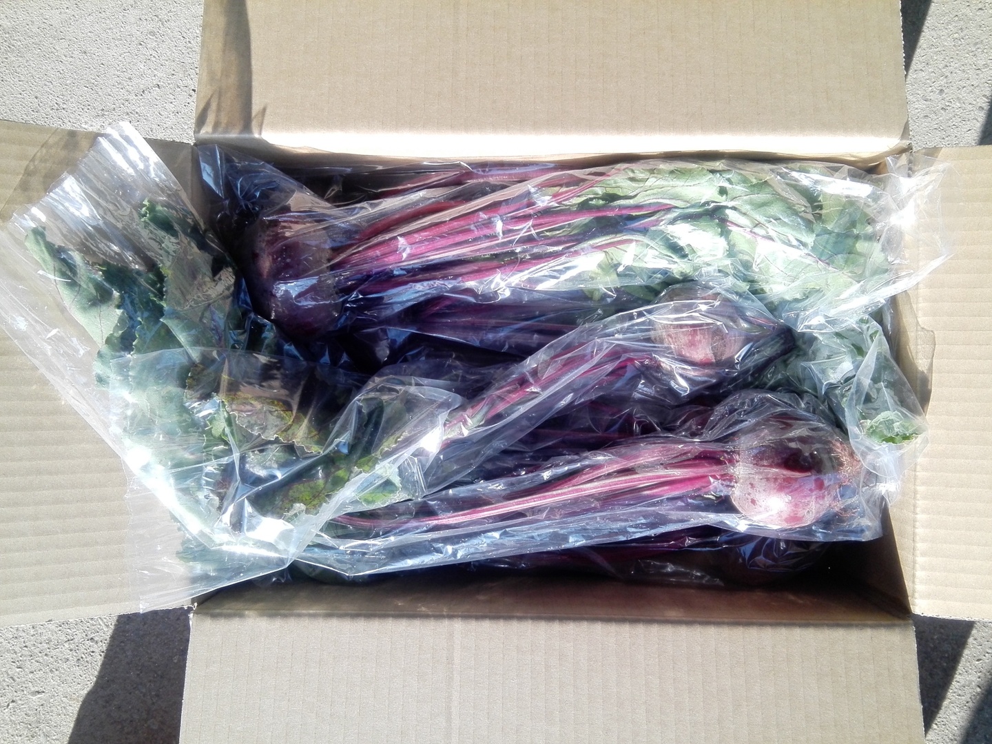 葉っぱ付きビーツ❗️【約2.5kg】奇跡の野菜✨スーパーフード