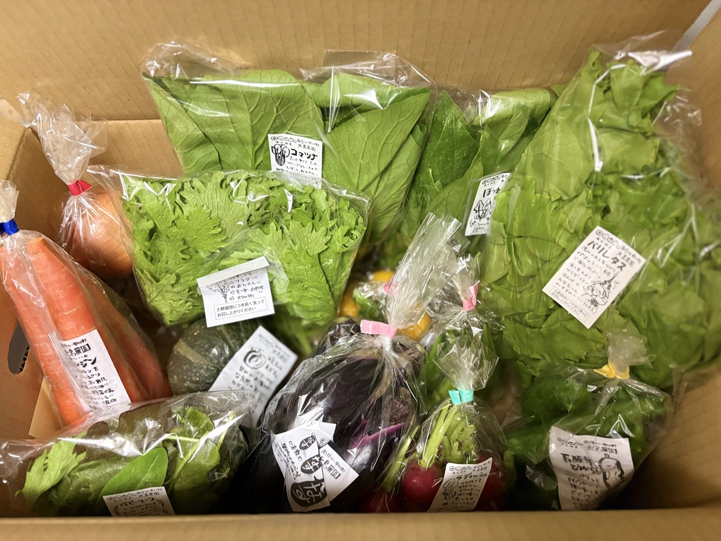 信州産朝採れ！旬の野菜セットB：長野県産の野菜セット｜食べチョク