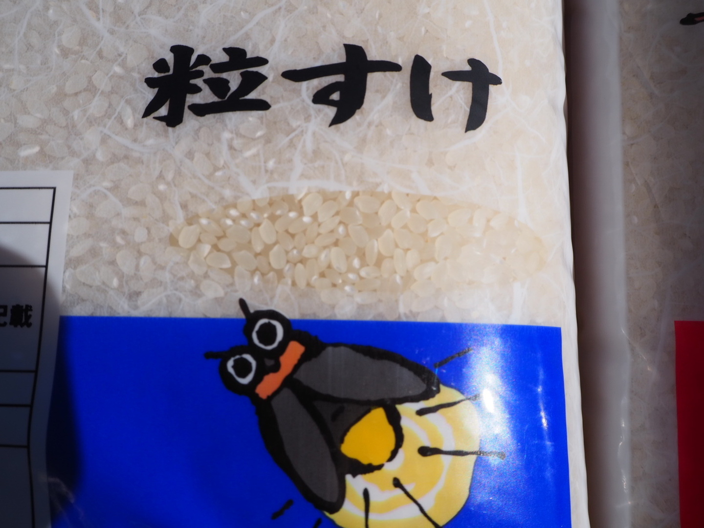 食べ比べ　多古コシヒカリ　ふさおとめ　無洗米　10kgずつ b86b535b3cb1cb54f64f1d28255ba8