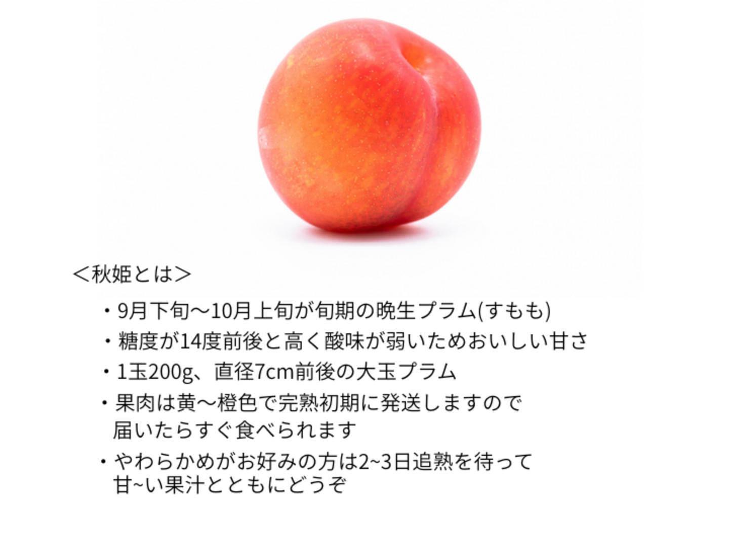 プラム すもも 秋姫 大玉2.0kg以上～ 糖度14度超 秋の果物 酸味が