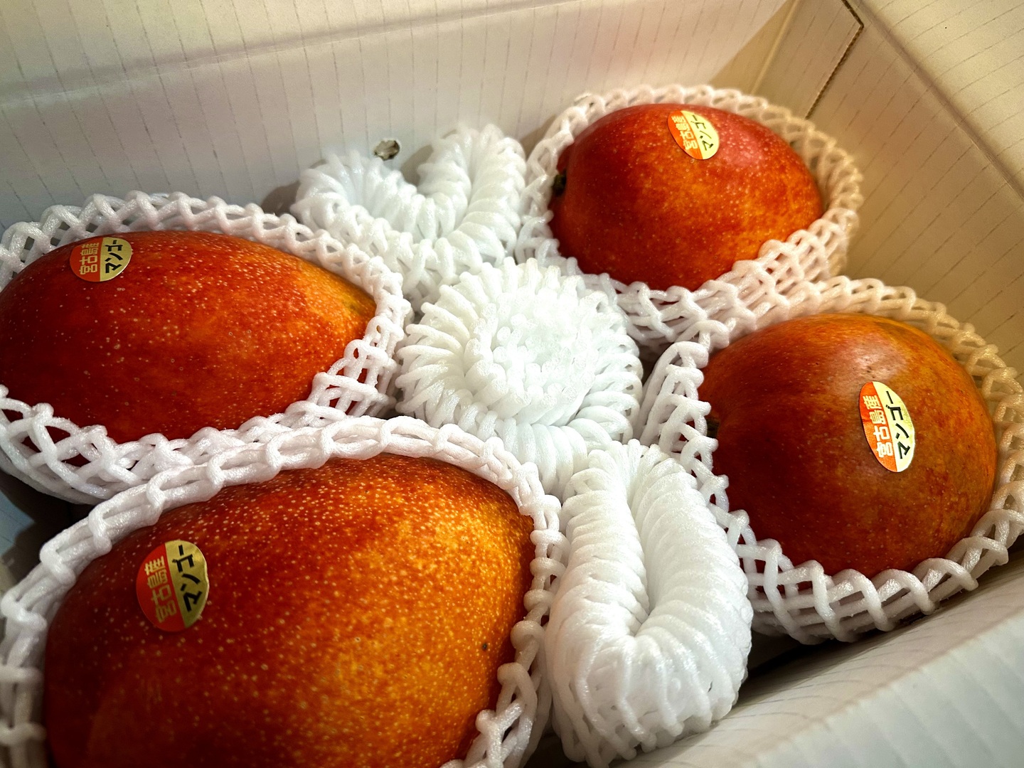 宮古島産マンゴー（ご家庭用2kg／3〜5玉）【沖縄・宮古島産